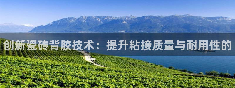必一体育app下载：创新瓷砖背胶技术：提升粘接质量与耐用性的