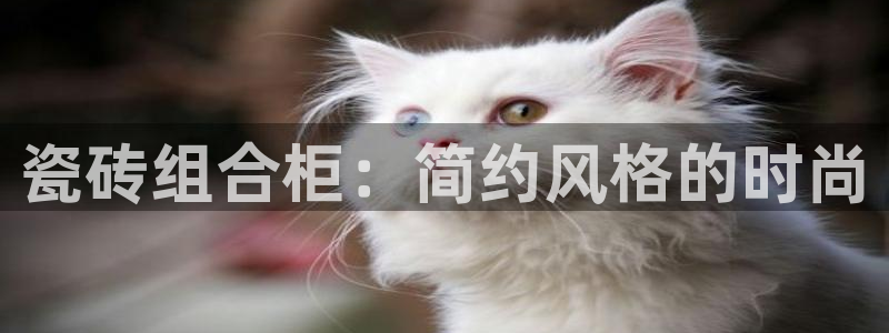 必一体育官方下载：瓷砖组合柜：简约风格的时尚