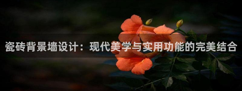 必一运动官网平台：瓷砖背景墙设计：现代美学与实用功能的完美结合