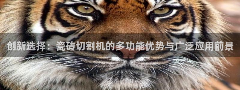 必一运动·(B-Sports)