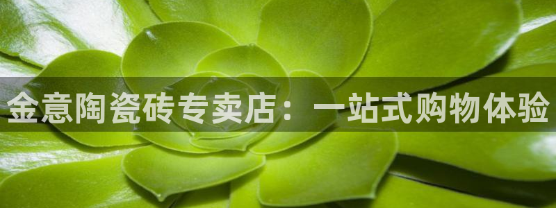 必一体育app下载最新版本苹果