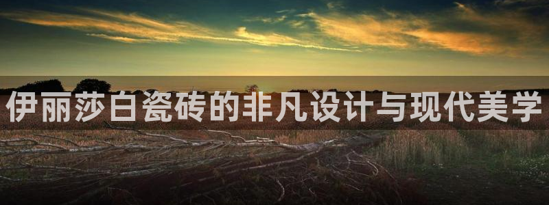 必一运动体育官网