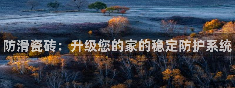必一体育网页