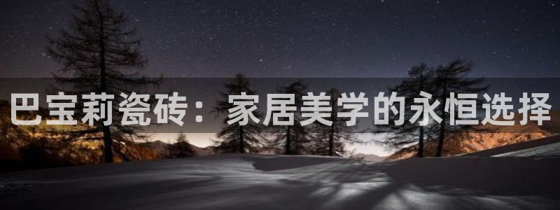必一运动 b 体育素描版