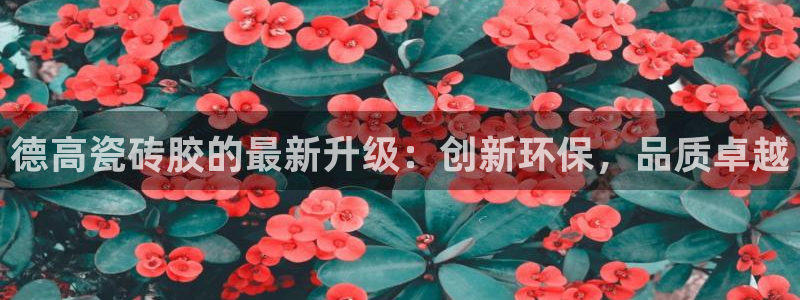 Bsport体育app必一