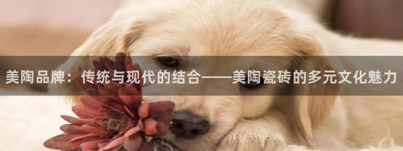 必一体育皮尔斯