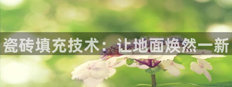必一体育手机下载