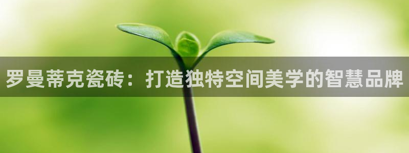 必一体育app下载安装
