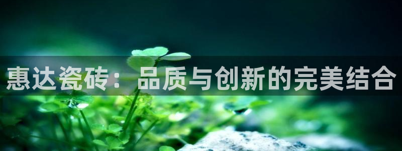 Bsport体育必一