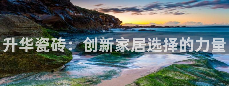 必一体育官网app