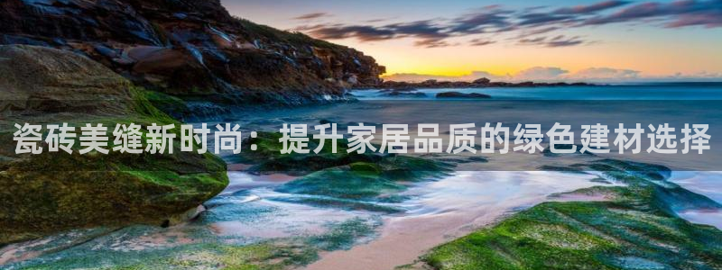 必十二和必一的副作用