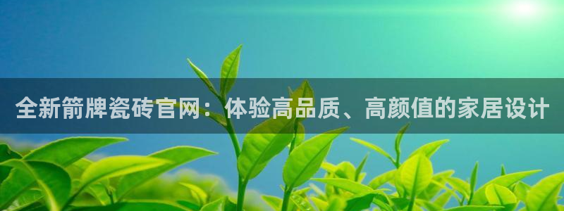 必一体育网站