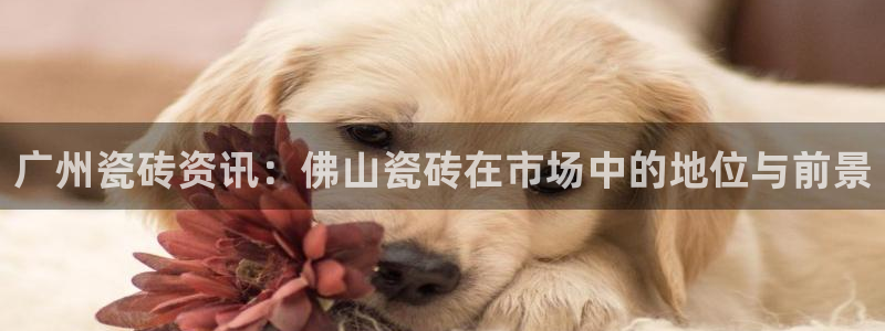 必一体育是哪里的台子