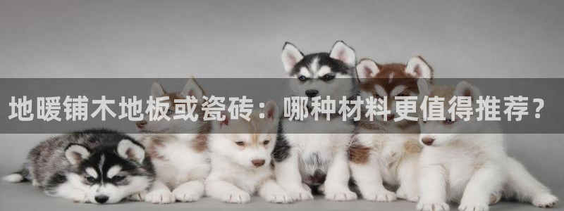 必一运动体