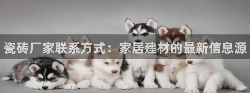 必一体育电子app