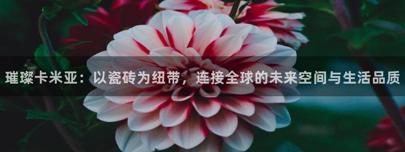 必一体育平台