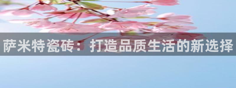 必一体育sport