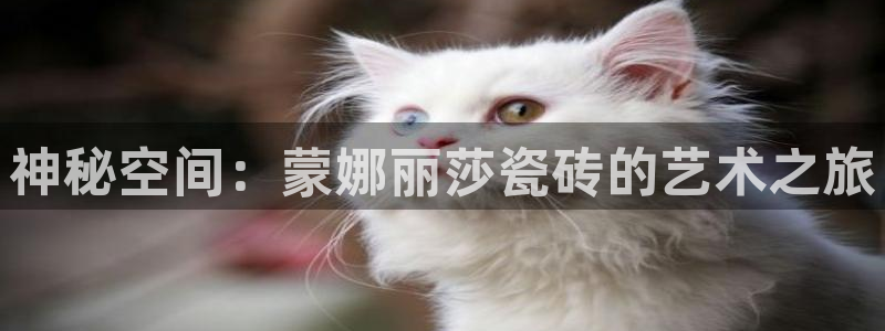 必一运动官网