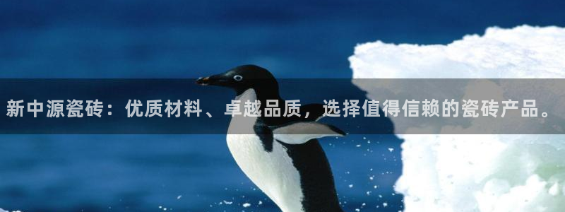 必一体育最新官网入口首页