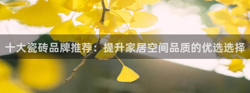 必一体育全站在线登录入口