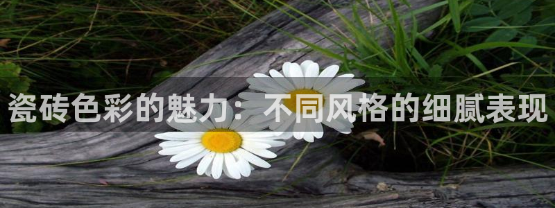必一体育是啥