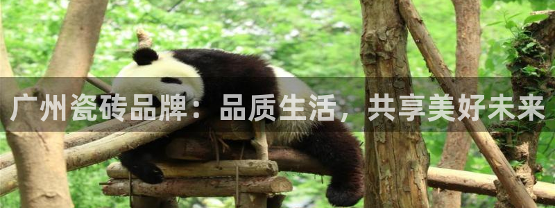 必一运动 b 体育素描版