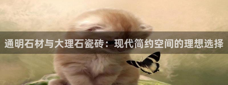 必一运动体育官网