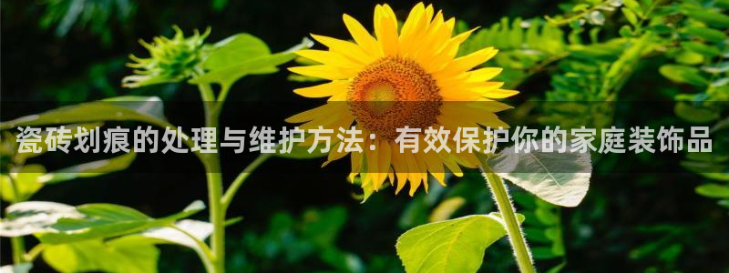 必一体育