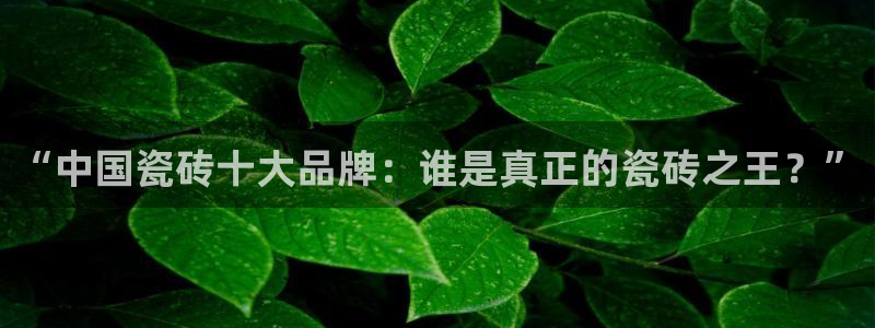 b体育官网下载入口app必一