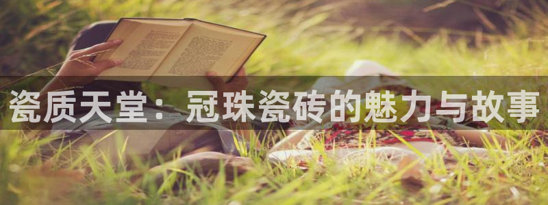 b体育必一运动网页版在线登录入口