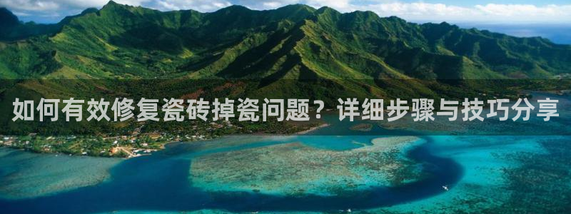 必一体育在哪下