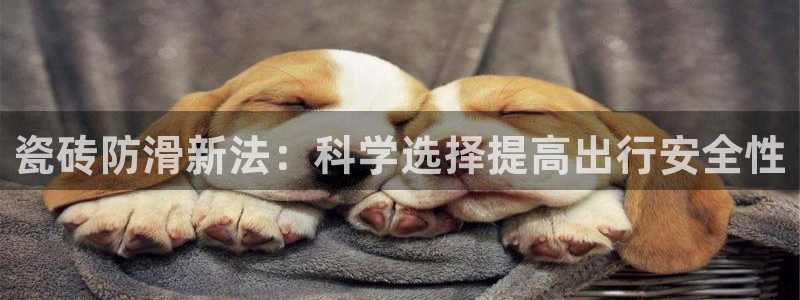 必一体育在线官网