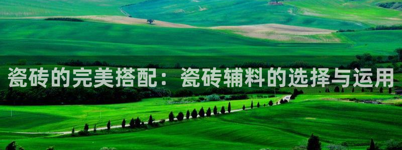 必一体育APP