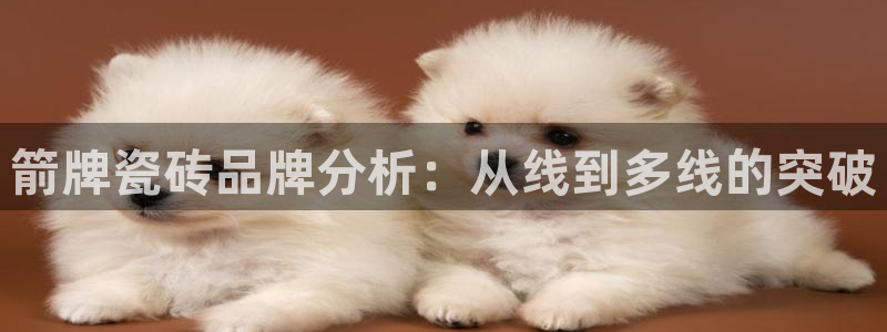 必一体育官方app下载