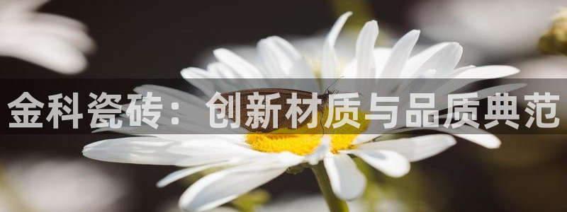 必一体育下载入口