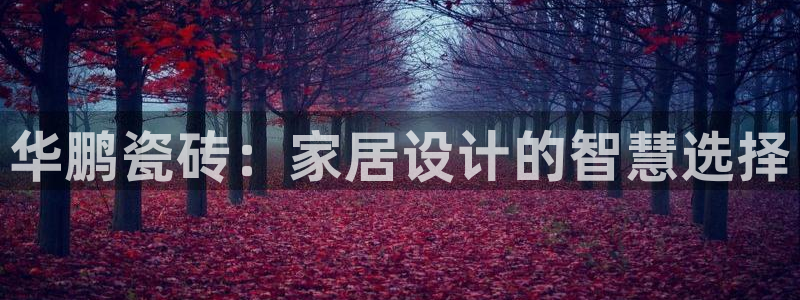 必一体育在线玩
