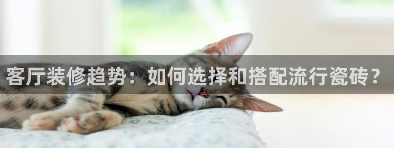 必一体育sport
