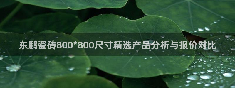 必一运动·(b-sports)官方网站