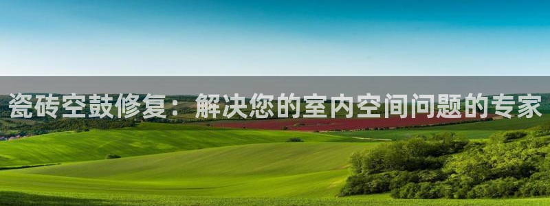 必一体育官网入口