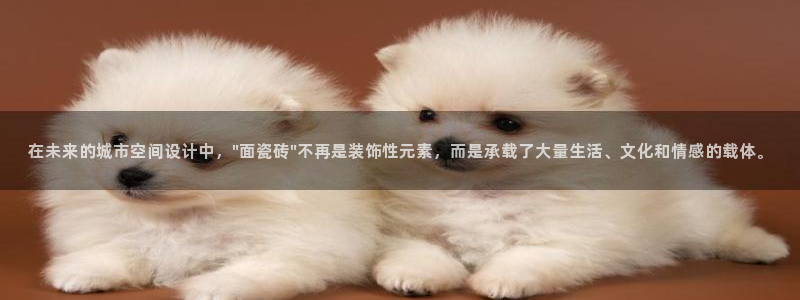 b体育官网下载入口app必一