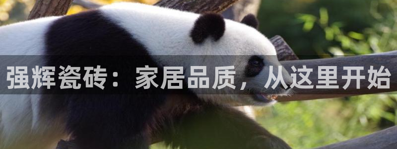必一运动·(B-sports)