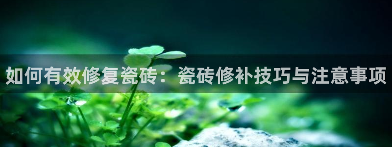 必一运动体育官网下载