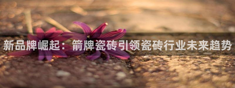 必一体育sport网页版