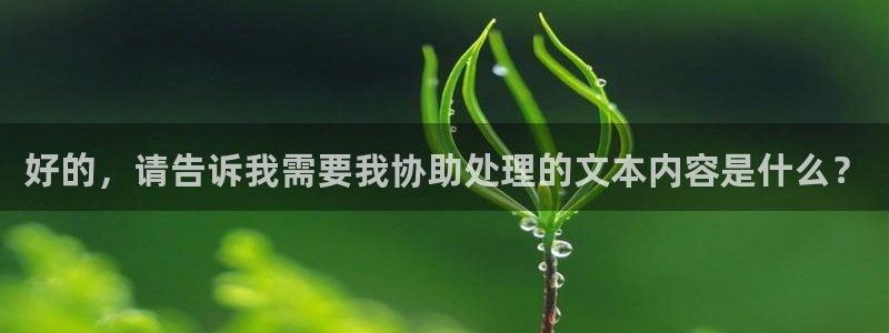 必一体育运动平台官网