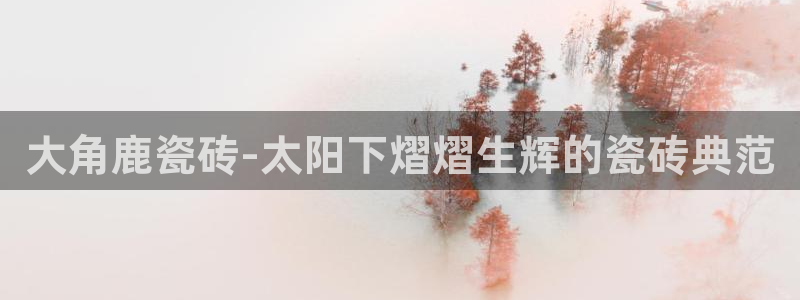 必一体育官网网站