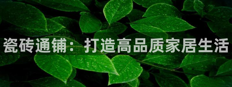 必一体育下载app下载