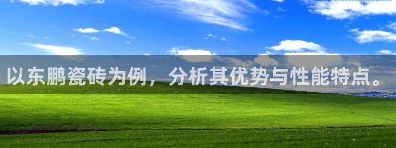 Bsport体育必一