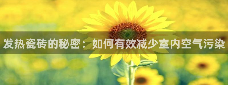 必一体育官网app