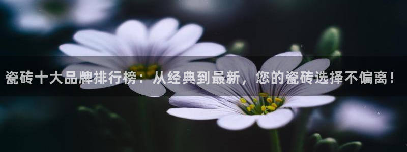 必一体育官方下载入口