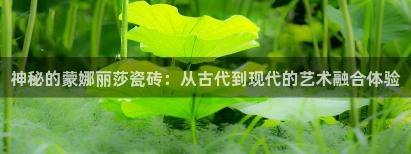 必一体育在线官网